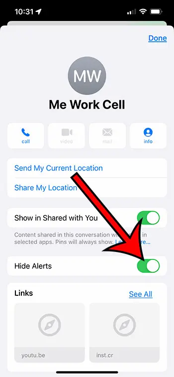 imessage-hide-alerts