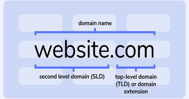 نام دامنه(Domain) چیست؟