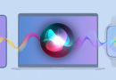 نحوه تغییر صدا، زبان و لهجه سیری (Siri)