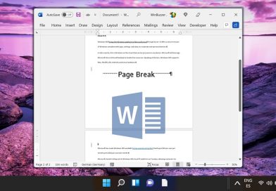 صفحه خالی (Blank Page) در مقابل صفحه شکسته (Page Break) در ورد: چه زمانی و چگونه از آن استفاده کنیم