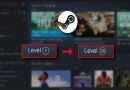 چگونه سطح steam را افزایش دهیم؟ (راهنمای مبتدی)