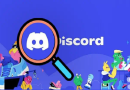 نحوه دریافت IP در Discord