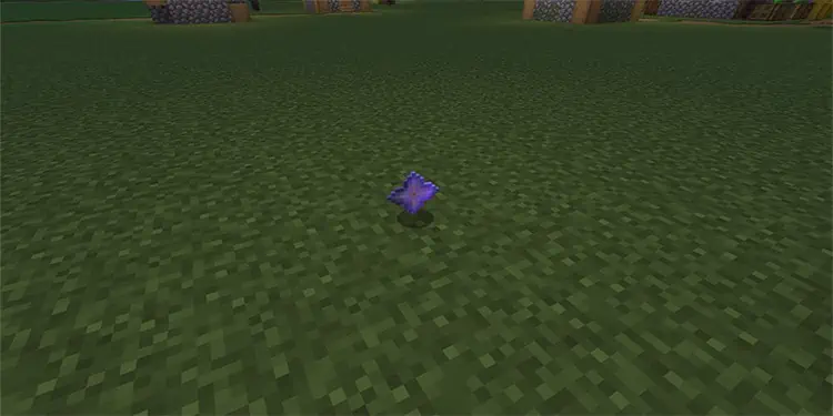 جمع‌آوری آیتم‌ها و موجودات کمیاب