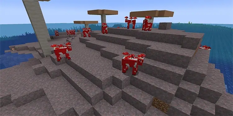 پیدا کردن Mooshroom و آوردن آن به خانه